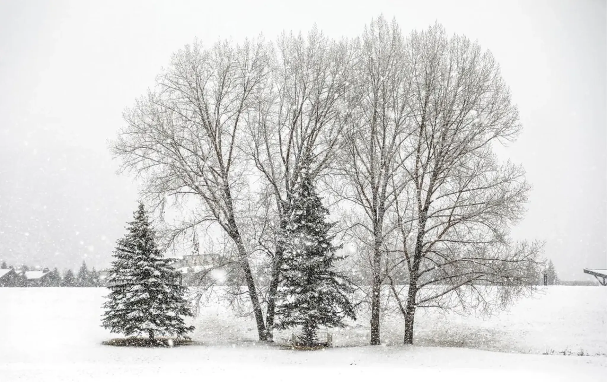 Winter Weekend Getaway: Your Perfect 48 Hours in Berlin, Ohio